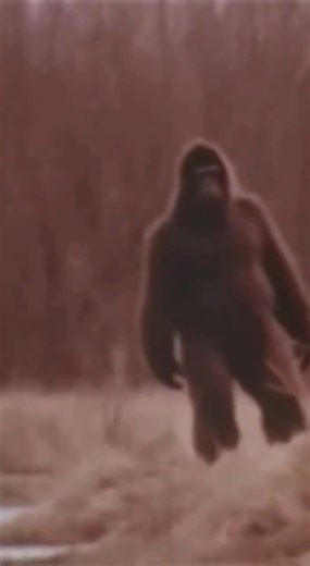 Pollution Hurts All of Us (1970s PSA Parody) | Sad Bigfoot Environmental Warning, Made With AI