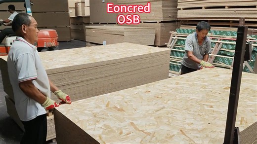 From Forest to Floor, Responsibly Engineered – OSB: Sustainability You Can Build With www.eoncredgroup.com | Eoncred MDF Factory