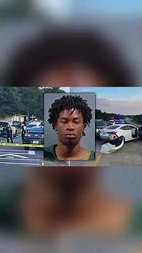 Intense Police Chase: Suspects and K9 Dive off Bridge #policechase #crime #storytime