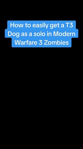 Call of Duty Videos on TikTok