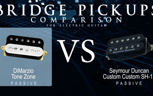 DiMarzio TONE ZONE vs Seymour Duncan CUSTOM CUSTOM SH-11 - Passive Bridge pickup