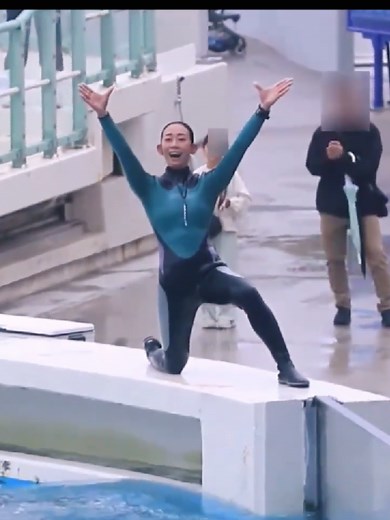 Enjoy Adorable Dolphin Videos and Insights