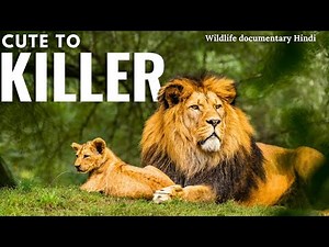 Cute To Killer Wildlife documentary in Hindi