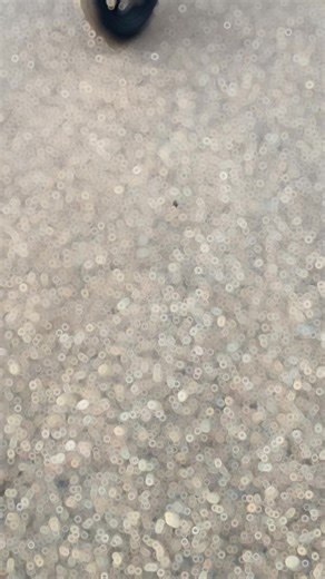 Os vídeos de hornetlifestyle1 (@hornetlifestyle1) com Self Esteem (featuring NLE Choppa) - Lambo4oe & NLE Choppa