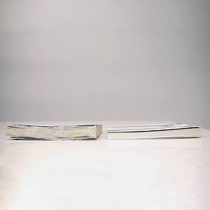 17K views · 71 reactions | If you air dry a wet book, it becomes wrinkled and thick! So, here we show you how to dry a book with the pages getting less wrinkled. | ShareHows | Facebook