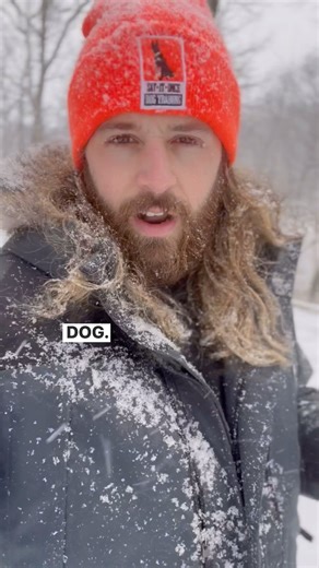 275K views · 3.2K reactions | Obedience training offers you the...