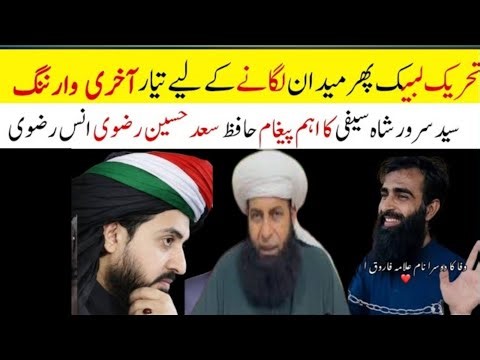 Syed Sarwar Shah Saifi ka Paigam | TLP Latest News update | Hafiz Saad HussainRizvi Anas Rizvi TLP