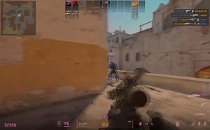 ＂第一枪可能是蒙的，可是第二枪呢？＂