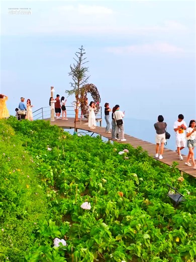Ngắm vẻ đẹp Tam Đảo , Vĩnh Phúc 😍😍 | Amazing Things in Vietnam