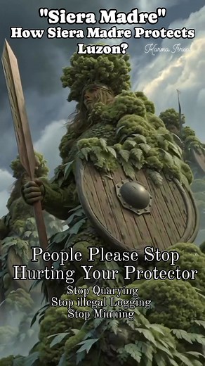 L👀K: 🫵 PEOPLE PROTECT YOUR PROTECTOR 👉"SIERA MADRE" 👉LUMALABAN KAHIT SUGATAN 👉Sa isang maalamat na kwento, si Sierra Madre ay isinilang mula sa pagmamahal ng kalikasan para sa Pilipinas. Siya ang diwata ng bundok, isang makapangyarihang dalagang binuo mula sa lupa, bato, at mga ugat ng kagubatan. Ang kanyang katawan ay ang mismong bundok—matatag, malalim, at puno ng buhay. Ang kanyang buhok ay ang mga gubat na sumasayaw sa hangin, at ang kanyang mga ugat ang siyang nagbibigay-lakas sa mga i