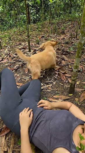 The cute dog saved her life 🐶❤️ #survival #bushcraft #camping