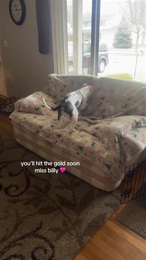 Encouraging Miss Billy's Digging Adventure 🩷🐾