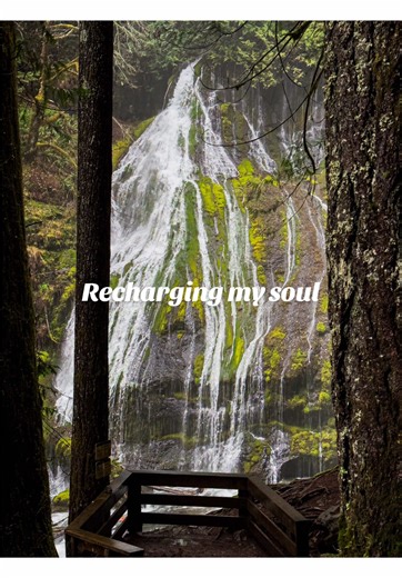 Embracing Nature: Leave No Trace in the Great Outdoors