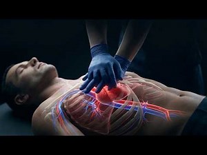 CPR in Action | A 3D look inside the body