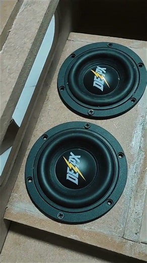 Dual 4.5 subwoofer for my Bluetooth Speaker