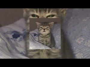 Childish Gambino - Heartbeat (speed up remix x heartbeat)