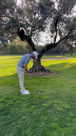En CSG siempre hay espectáculo, y algún payasete que otro también😅#csg #golf #trickshot #tree #green #chip #chipin #gaudigolf #reus | CSGolf