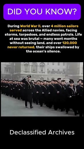 456K views · 3.3K reactions | Over 4 million sailors from Allied nations served during WW2 #history #war #ww2 #shortsreels | Declassified Archives | Facebook
