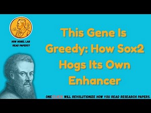 This Gene Is Greedy: How Sox2 Hogs Its Own Enhancer [Science, 2025]