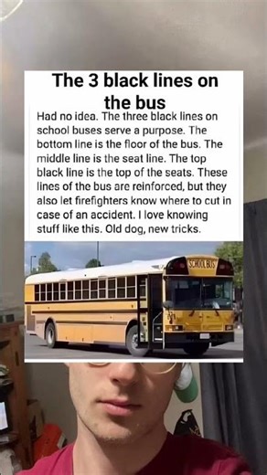 The 3 black lines on the bus mean this