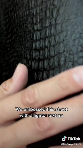 Mycelium: A Sustainable Alternative to Alligator Skin