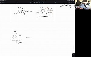 Lecture 18 - Benzodiazepines