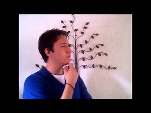 Teoría de la Atribución