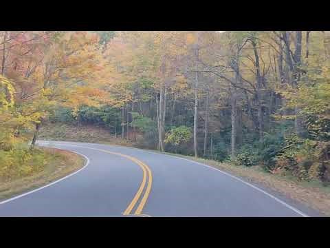 Fall Foliage Along The Foothills Parkway | Gatlinburg Tennessee #smokymountains #fallcolors