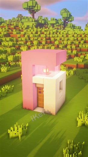 Best Pink House in Minecraft
