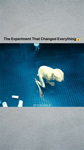 MovieDekhLe on Instagram: "🎬 movie Splice (2009) . 📖Story Splice follows two ambitious genetic engineers, Clive and Elsa, who secretly create a hybrid organism by combining animal DNA with human DNA. Their experiment results in a mysterious creature named Dren, who grows rapidly and develops human-like intelligence and emotions. As Dren evolves, she becomes dangerous, blurring the line between scientific achievement and moral disaster . #viralvedio #viralreels #Splice2009"