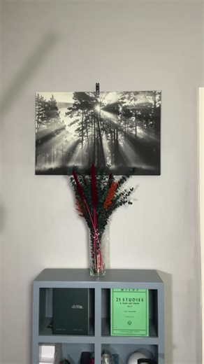 Exploring the Range of a Bassoon: Educational Facts