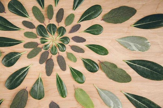 Customer Centric: GUIA (conceito, vantagens e como aplicar!)