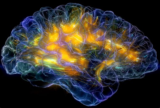 Watch Neuro Enhancing Nootropic Neuronal Activity Simulation on Amazon Live