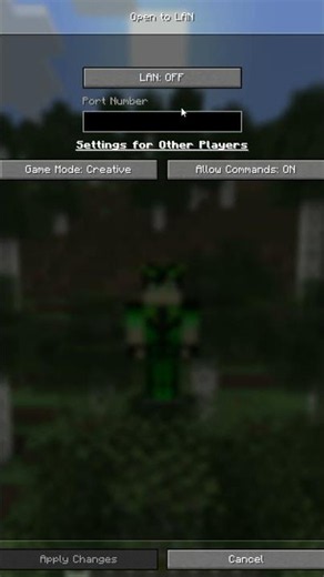 How to play Minecraft TLauncher with friends?