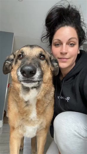 Where did Django go! 😅 #trend #duetme #foryou #filter #dogsoftiktok #fyp #challenge #ai #aimanga | Django