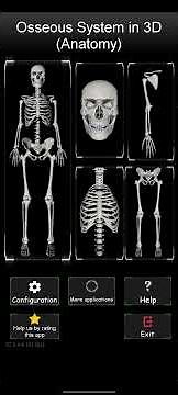 Osseous System in 3D (Anatomy)