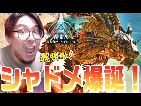 I'll explain why the MOD that adds Shadow Main to ASA is so good! [Live commentary by KTRGaming A...