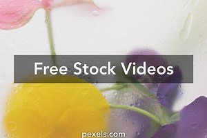 Damp Videos, Download The BEST Free 4k Stock Video Footage & Damp HD Video Clips