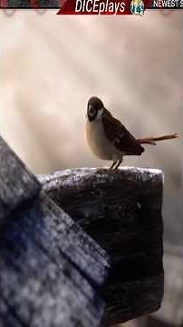 can't believe Fable 2 still looks this good #fable #gaming #throwback