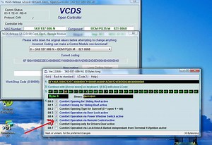 HOW-TO:  VagCom / VCDS Mods (w/pics)