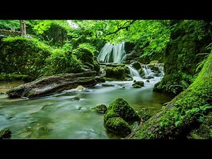 Light Music - uplifting, work music motivation, think, code, study, focus, build your future music