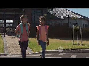 "Road Safety 101: How to Safely Cross a Busy Road Using a Zebra Crossing"