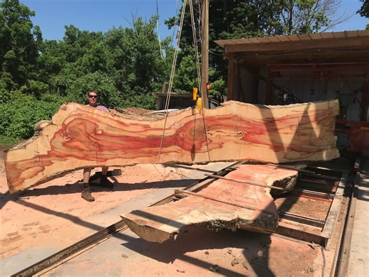 Box Elder | Live Edge Wood | Reclaimed Wood Slabs | Kiln Dried Wood for Sale | Trusted Wood Suppliers | Woodworking Source - Etsy Australia