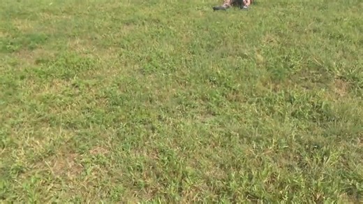 #sledding #sleddingfail #snow #snowfun #snowfunny #fails #failarmy #fyp | Tru Vu Drive In