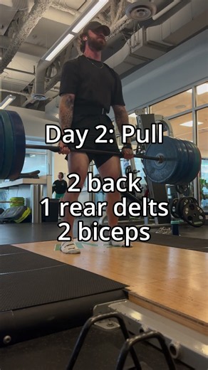 5 Day Workout Split For Beginners (Push Pull Legs Upper Lower) #fitness #motivation #shorts #short