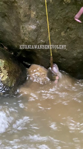 2.1K views · 2.3K reactions | Babon bolo  #mancing #ikansidat #sidatbabon #sidatmonster #kurniawanbenevolent | Kurniawan Benevolent | Facebook