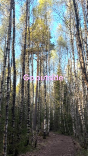 Aesthetic Spring Forest Walk