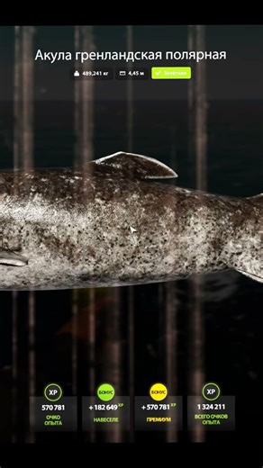 #RR4 Гренландская полярная акула | #shorts #русскаярыбалка4 #russianfishing4 #fishing #rr4 #рр4стрим