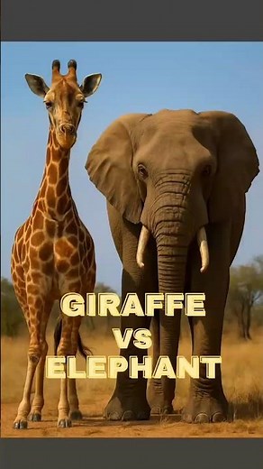 🦒 Giraffe vs 🐘 Elephant – 5 Amazing Comparison Facts |
