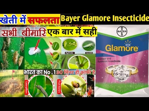 Bayer का No.1 कीटनाशकBayer Glamore insecticide|Ethiprole 40%+ Imidacloprid 40%WG|Glamore insecticide
